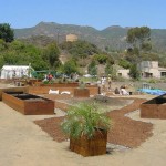 Camp JCA Shalom
